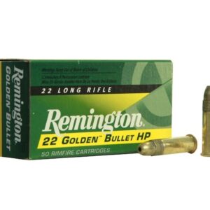 22lr ammo