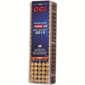 22lr ammo for sale